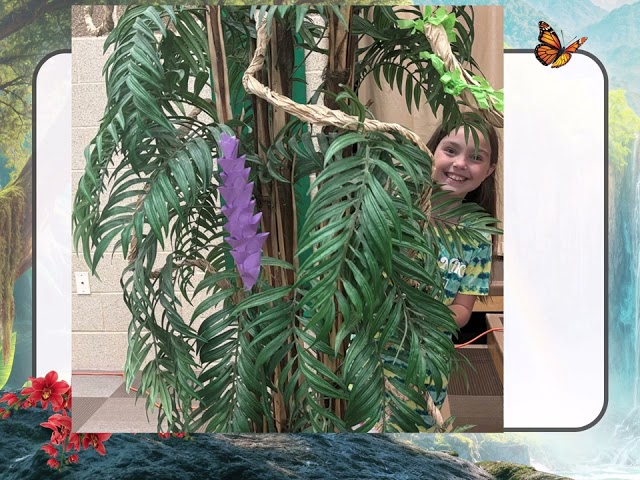 VBS Spotlight Video Day1 Rainforest Falls 2026