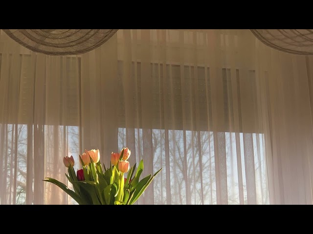 my darling - Slowed & Reverb - daniel.mp3