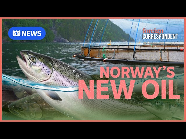 Norway's New Oil: How Norway sold the world on salmon | Foreign Correspondent