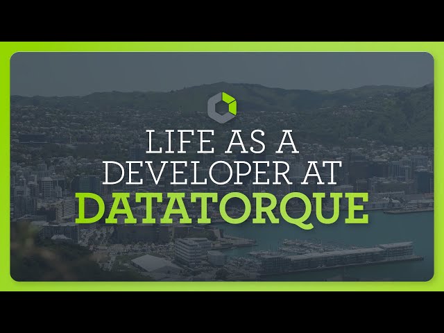 .Net Developer | Working at DataTorque