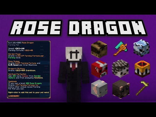Spending 50 Hours Getting A Rose Dragon - Hypixel Skyblock