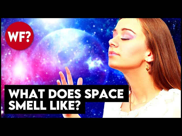 What does outer space smell like? (You're not gonna like it.)