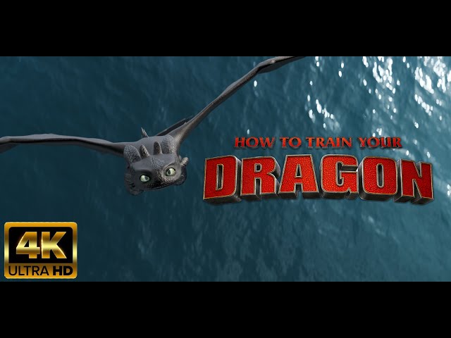 HOW TO TRAIN YOUR DRAGON (3D ANIMATION)