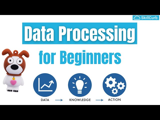 Learn Data Processing Concepts for Beginners | Become a Data Nerd