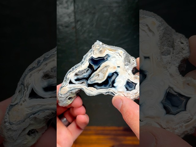 This Agatized Coral looks like Lake Superior!