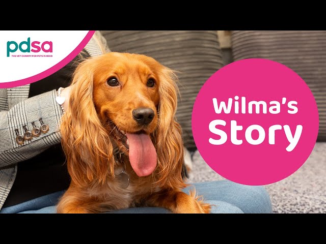 Wilma’s story | PDSA Pet Patient