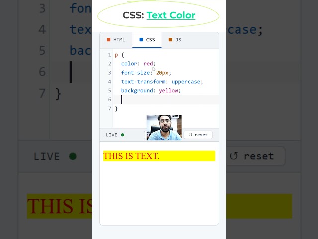 HTML CSS Text Color Font size Background  #htmltutorial #coding