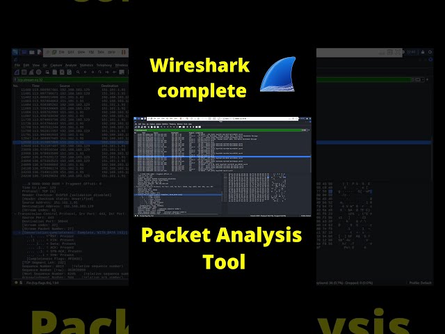 One Packet Can Tell You the Whole Story 🔍 | Wireshark complete #Shorts