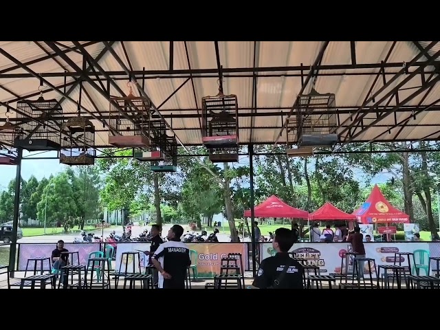 Simulasi lomba burung 