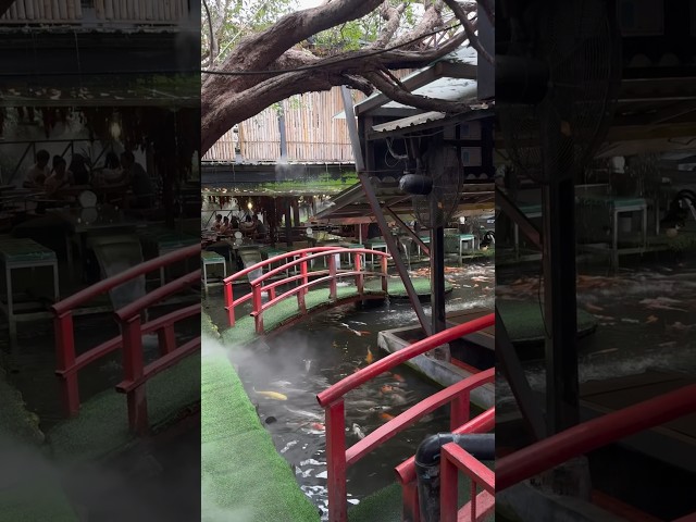 gotta go back to this cafe in chiang mai thailand #thailand #chiangmai #aesthetic #cafe #travelvlog