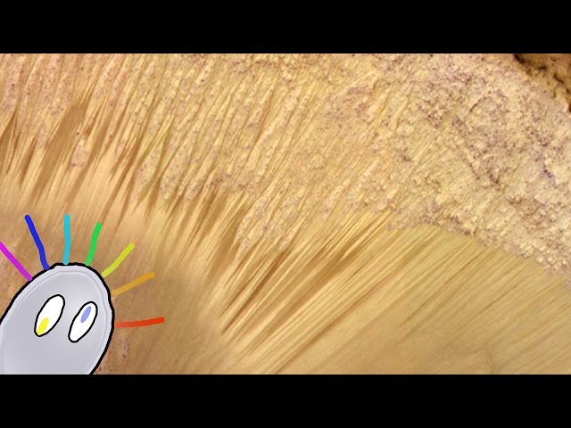 ¡Se descubre AGUA LÍQUIDA en MARTE!