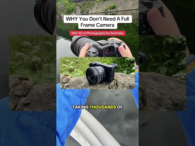 DAY 40 of Photography for Dummies