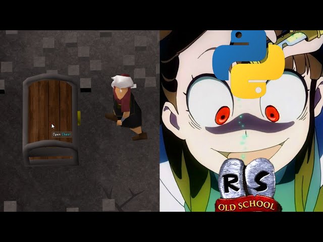 Programmer vs RuneScape