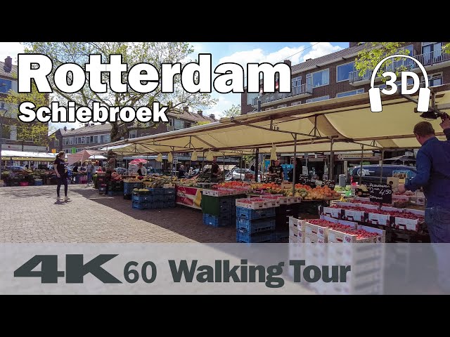 Rotterdam walk - Shopping area and Market ☀️ | Netherlands | 4K60 Walking Tour | Binaural Audio