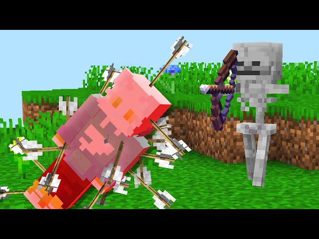 Join my server! Last alive wins $100!