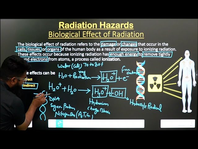 Biological Effects of Radiation | Radiation Hazard | Part -2 | Somatic and Genetic effects |