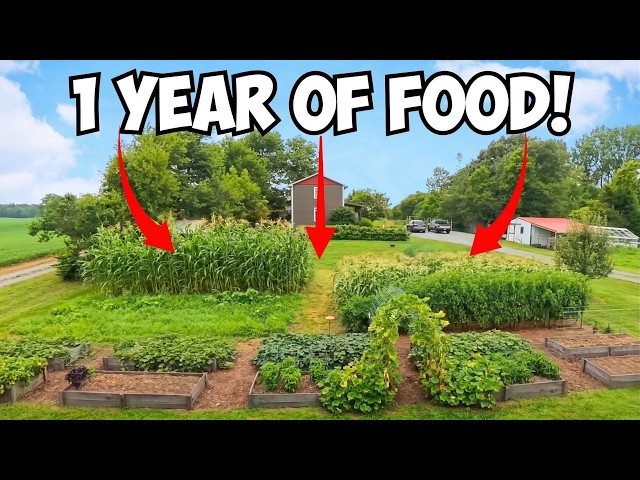How a 1/8 Acre Garden Feeds a Family of 6 ALL YEAR!