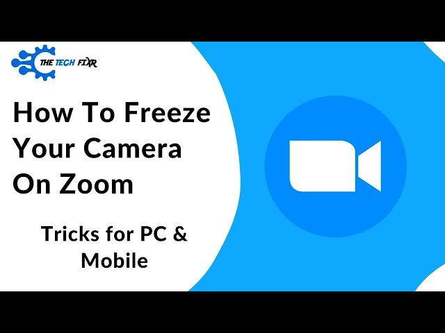 How to Freeze Your Camera on Zoom? 2 Tips for PC and Mobile?