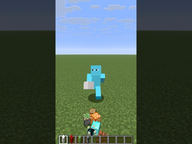 FIND THE MINECRAFT ITEM!