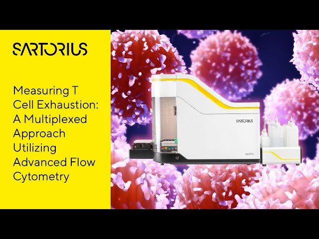 iQue® Webinar (Preview): Measuring T Cell Exhaustion: A Multiplexed Approach