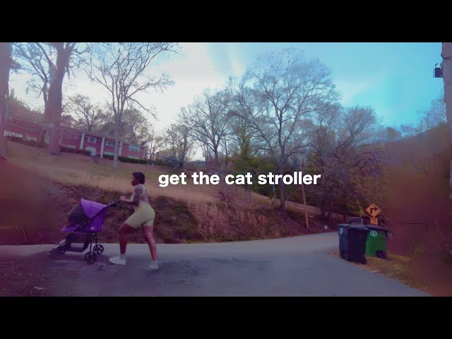 Day 66 of 75 - 75Hard - Take your cat for a walk