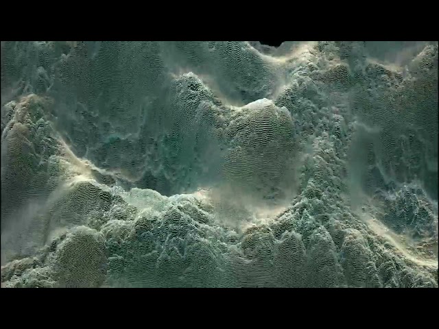 Psychotria - Digital Cosmos
