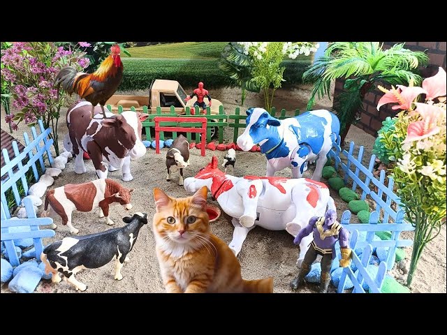 WADIDAU‼️PROSES POTONG SAPI KURBAN