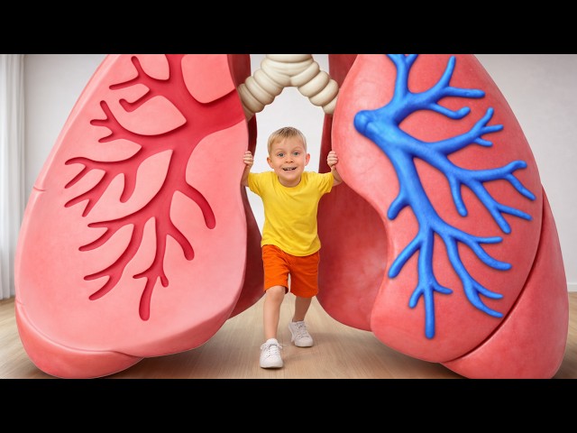 Inside Your Body! Learn Healthy Habits
