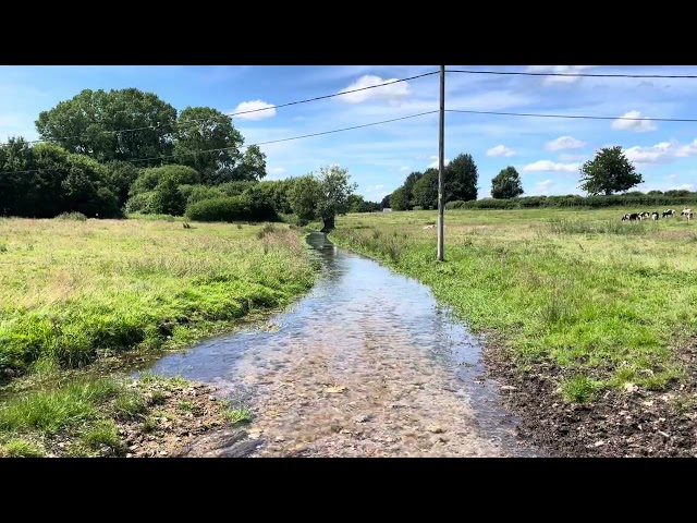 Peaceful Waters #3 - River Arle, Hampshire