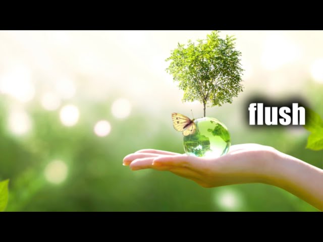 flush (morphic field)