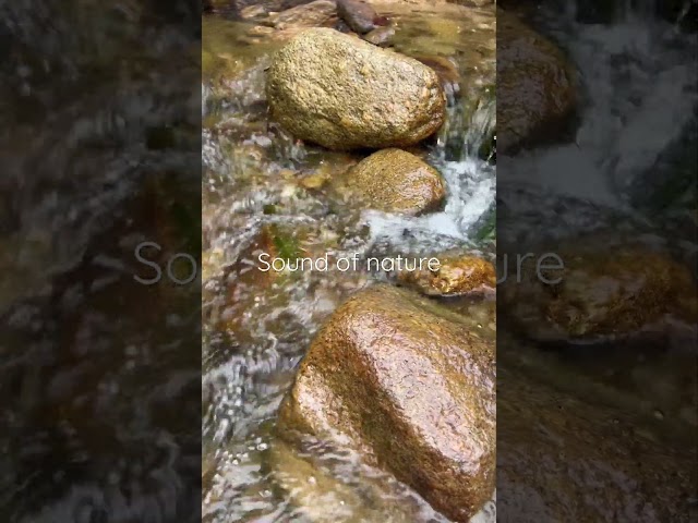 Sound of nature