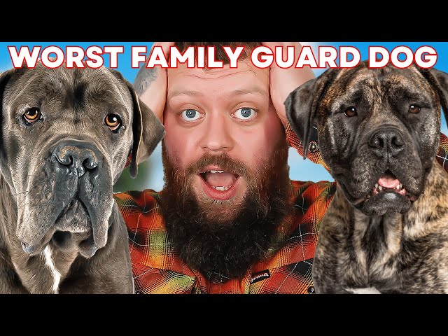 WORST GUARD DOG BREED FOR FAMILIES