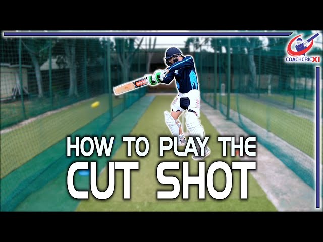How to play the CUT SHOT | Cut Shot Tutorial and Drills | Cricket Batting Coaching