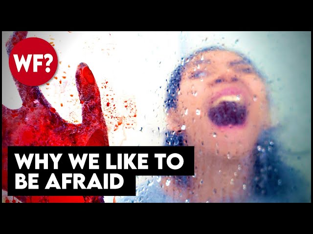 Why We Like To Be Scared | Do You Enjoy Fear?  This video will scare you. 😱
