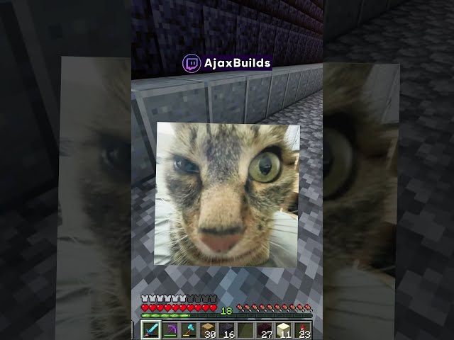 La Pirámide de 10 Millones de Bloques!?🙀 (Recuerdo) #minecraft  #shorts