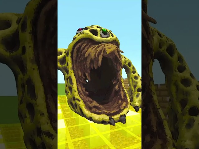 Phoebe Chupi And Trypophobia Phase 8 Merged