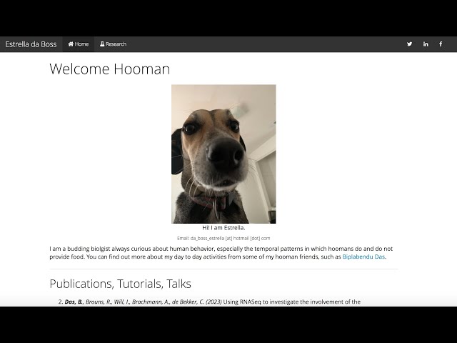 Building and deploying websites using RMarkdown and GitHub