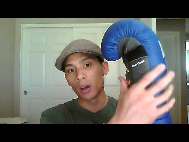 Everlast Protex 3 Professional Training Gloves REVIEW