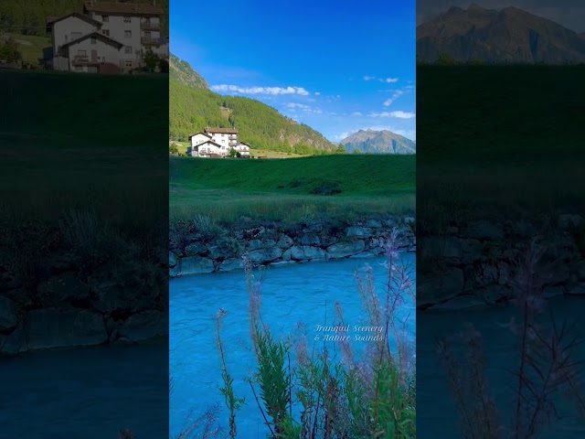 Alpine Flow🏡💦 #NatureSounds #riversounds #tranquilscenery  #mountainriver #relaxingplace