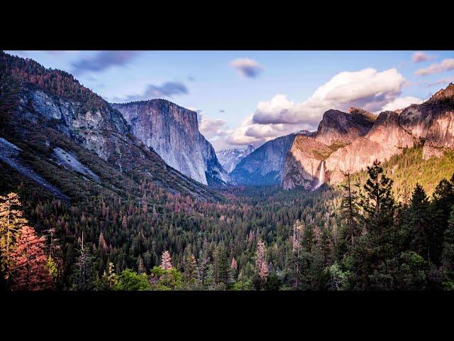 LIVE from Yosemite National Park | PBS Nature in National Parks