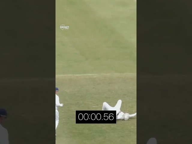 Goodness me Charlie Stobo ⏰ #SheffieldShield