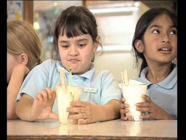 Inquiry science: The 5E model