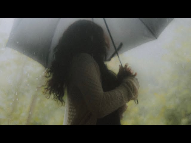memyself&vi - September Trees (Visualizer)