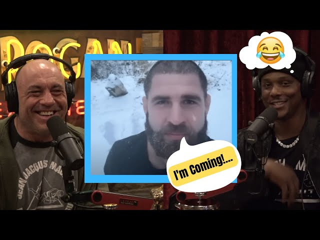 Jamahal Hill's Hilarious Reply to Jiri Prochazka's Taunt