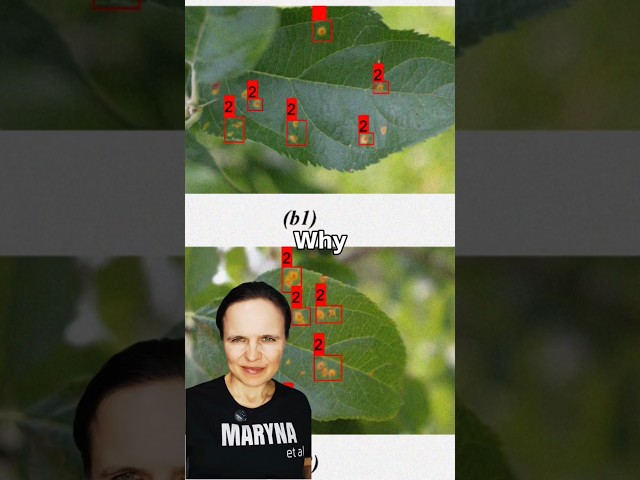 plant disease quantification with AI