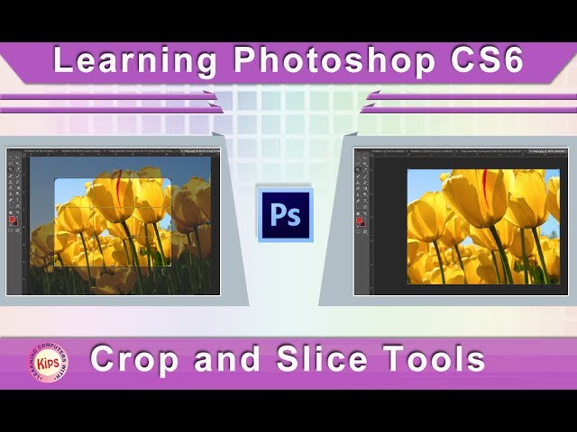 Learning Photoshop CS6: Crop and Slice Tools