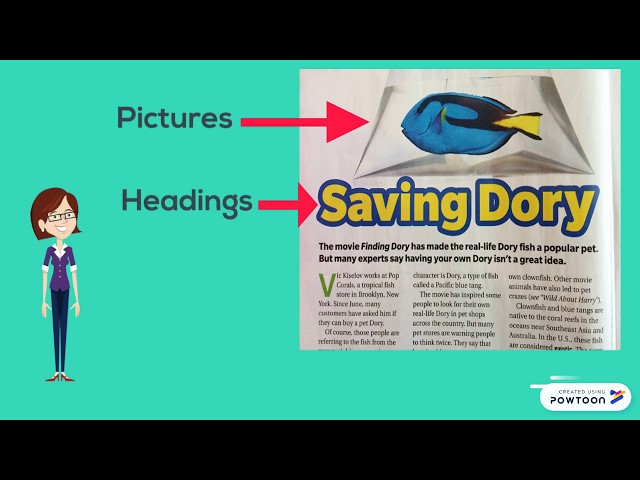 Text Features