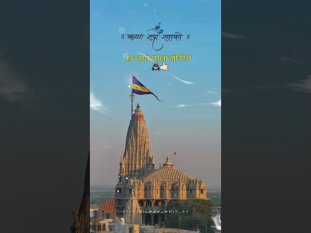 શામળીયા શેઠ નો બર્થડે 🤩🙇🏻#dawarka #shorts #viral #trending