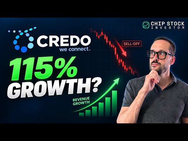 The Fastest-Growing Chip Stock Is Also the Most Hated