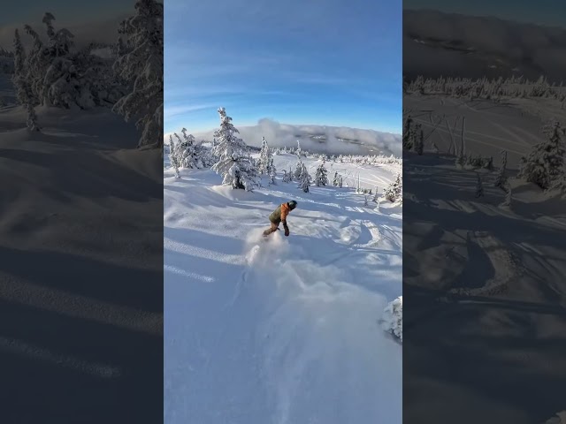 POV: Floating fresh turns along Whitefoot Trail off the T-bar #skibigwhite #explorebc